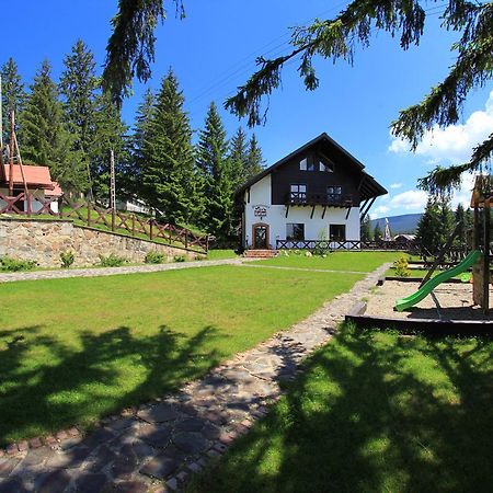 Pensiunea Rafael Păltiniş Exteriör bild